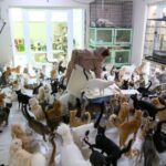 French couple who kept 159 cats banned from keeping pets