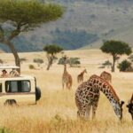 Hold Up World Bank Puts the Brakes on Tanzania Tourism Project