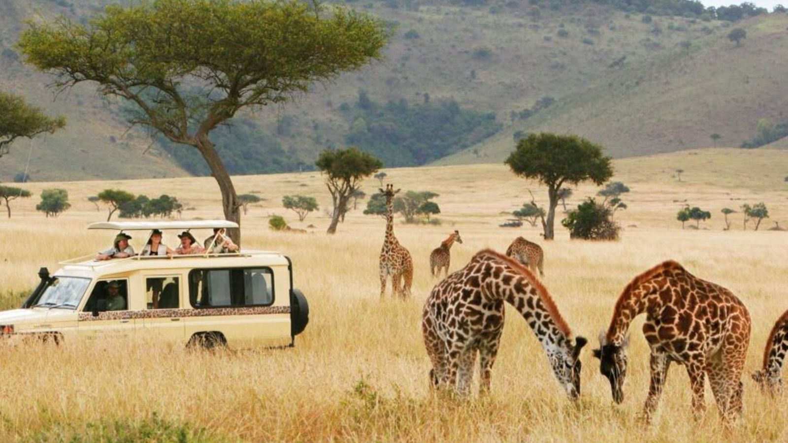 Hold Up World Bank Puts the Brakes on Tanzania Tourism Project